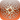 Astroloji