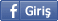 Giriş