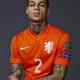 Gregory van der Wiel